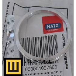 Pierścień Hatz 1 B Numer katalogowy: 04097800