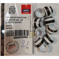 50284800-Uszczelniacz-zaworu-HATZ-2-4-L-40-HATZ-wobis-zabrze-hatz