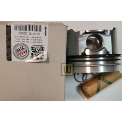 01315210-Tlok-HATZ-1-D-41-0,5-EPA-zabrze-wobis-hatz