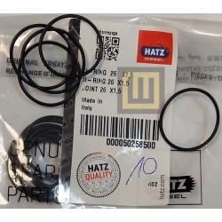 50258500_O-ring_trzpienia_korby_HATZ_1D_30_81_wobis_zabrze_hatz