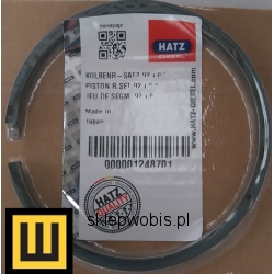 Pierścienie HATZ 2 G 40 0,50mm  Numer katalogowy: 01248701